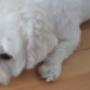 nachher