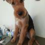 nachher