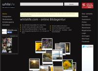 Whitelife GmbH