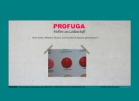 Profuga GmbH Kittfugenarbeiten