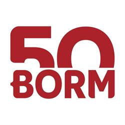 Borm-informatik Ag