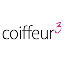 Coiffeur 3 di Dorizzi, Demonti