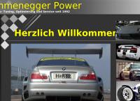 Schweizer Parkettmacher GmbH