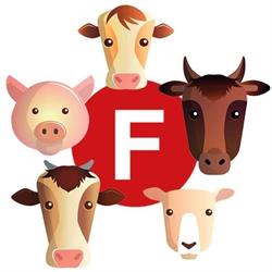 Fuster Rauchspezialitäten GmbH