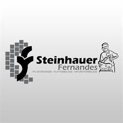 Fernandes Steinhauer