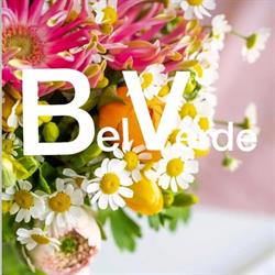 Bel verde Floristik