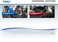 Federal-Mogul GmbH