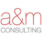 A & M Consulting GmbH