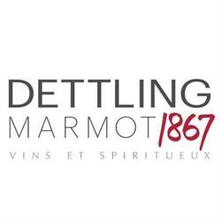 Dettling & Marmot AG
