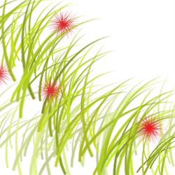 Blumenwiese Sandra Berg-Kalt