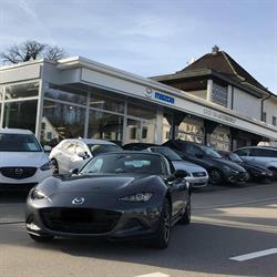 Ceotto Automobile