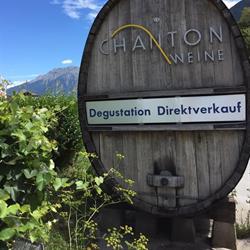 Josef-Marie Chanton, Weine U. Weinboutique