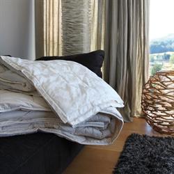 Sweet Dreams Collection AG
