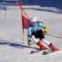 Beau Soleil Ski