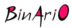 Binario Consulting AG