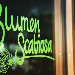 Blumen Scabiosa, Inh. Nadine Eugster