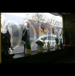 Mitico GmbH