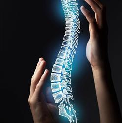 Praxis für Physiotherapie & Ernährung Sylvia Schwarze GmbH
