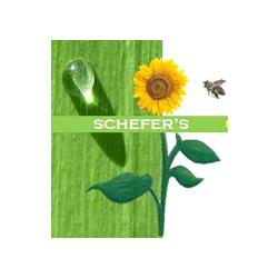 Schefer's Garten GmbH, Remo Schefer Gartenbau & Gartenpflege