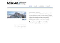 Bellevue Management Consulting SARL