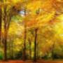 Bestattungen Stalder Herbstimpressionen