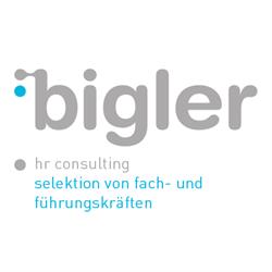 Bigler hr consulting