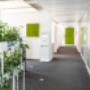 Moosbilder Büro