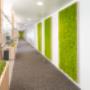 Mooswände Büro Zürich