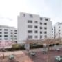 Immobilienagentur Visp