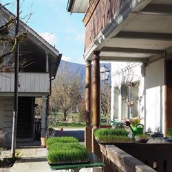 Kulturhof Weyeneth GmbH