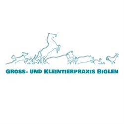 Gross- und Kleintierpraxis Geiser Biglen