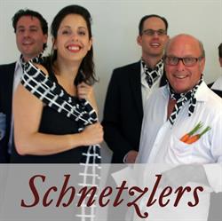 Schnetzlers Wunschküche GmbH