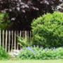Die Mantis Gartenbau GmbH ist ein führender Anbieter im Bereich Gartenbau und Gartenpflege in Allschwil in Baselland und Basel. Seit der Gründung 2007 haben wir uns durch regelmässige Weiterbildungen zu einem kompetenten Partner im Gartenbau entwickelt. Wir teilen gerne unser Wissen und Fähigkeiten und sind dankbar für die treue Unterstützung unserer zahlreichen Stammkunden. Vertrauen Sie auf unsere professionellen Dienstleistungen und lassen Sie uns gemeinsam an Ihrem Garten arbeiten.