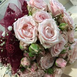 Fiori in Corso Sagl
