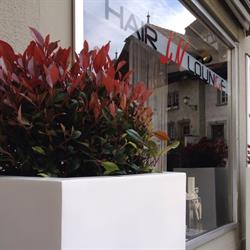 Hair Lounge - Nemet