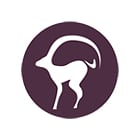 Atelier für Steuern und Finanzen