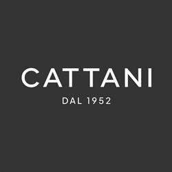 Cattani Falegnameria SA