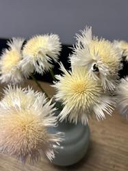 Blumen und Wohnen, Barbara Heiss