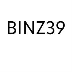 Stiftung BINZ 39
