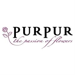 Blumen PurPur GmbH
