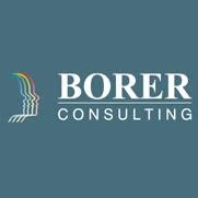 Alfred Borer Borer Consulting
