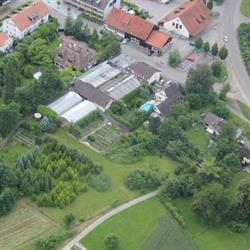 Blumen Spengler AG Gartenbau