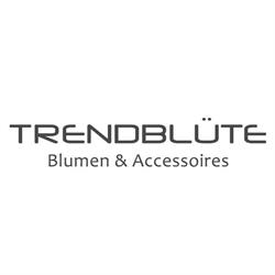 Trendblüte Angelini & Sandmeier
