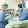 Kleintierklinik Oberflamatt