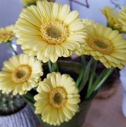 Blumen Atelier, Moni Koster