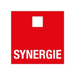 Synergie (Suisse) SA Direction générale et administration