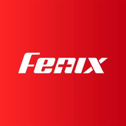 fenix Consulting GmbH