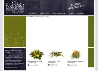 City Blumen AG