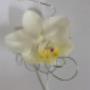 Boutonnière du Marié
