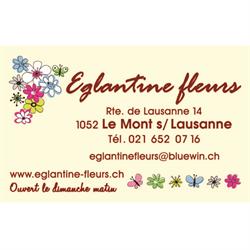 Eglantine Fleurs